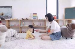 (5分钟科普)景德公司咨询电话号码_哔哩哔哩-2